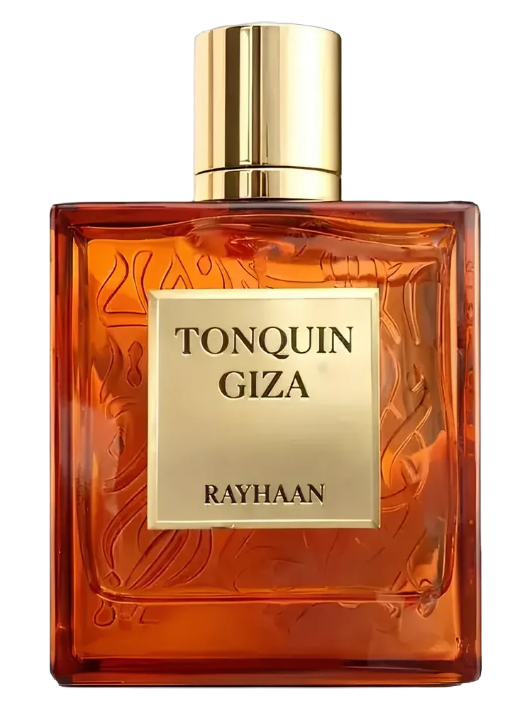 Rayhaan Tonquin Giza