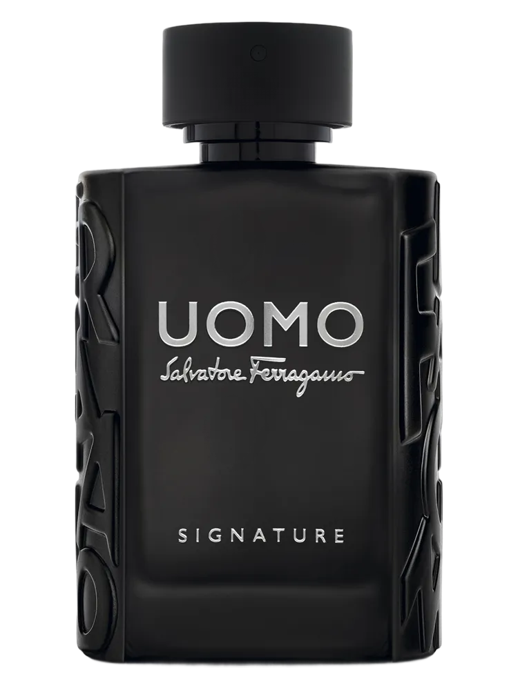 Salvatore Ferragamo UOMO Signature 100ml EDP